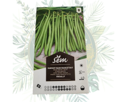 Haricot nain mangetout Rugally - Idéal pour petits jardins