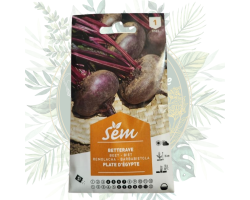 Betterave plate d'Égypte - Cultivez facilement au jardin