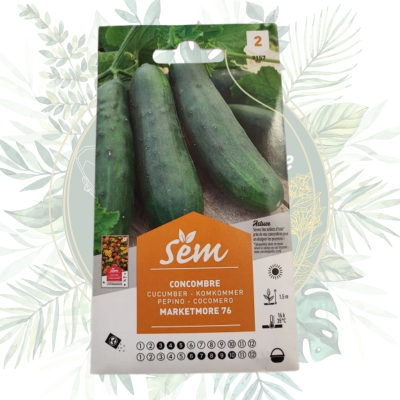 Concombre Marketmore - Semez et récoltez avec succès