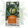 Chou tête de pierre HF1 - Chou précoce et résistant pour votre jardin