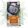 Chou rouge gros - Graines de jardin haut de gamme