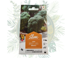 Chou brocoli hâtif - Cultivez facilement ce légume savoureux