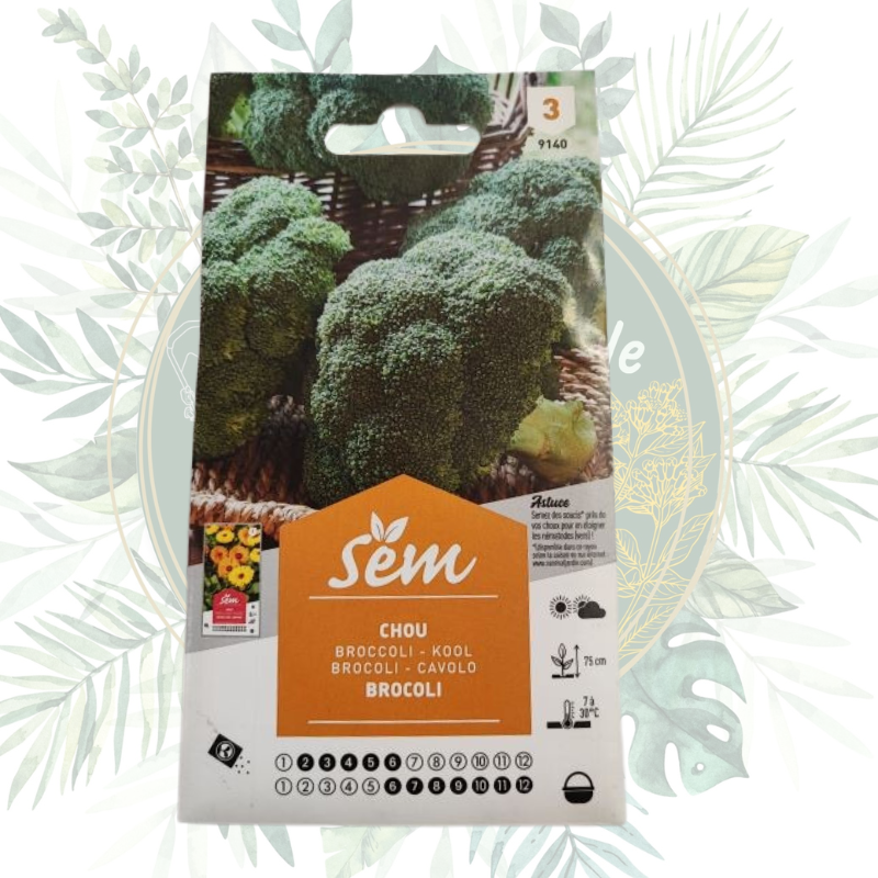 Chou brocoli hâtif - Cultivez facilement ce légume savoureux