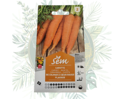 Carotte de Colmar flakkee - Semences de jardin de qualité