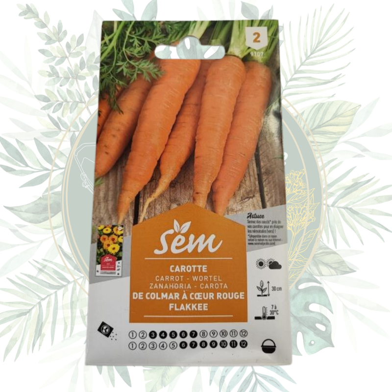 Carotte de Colmar flakkee - Semences de jardin de qualité