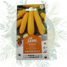 Courgette jaune Atena Polka F1 - Variété productive et résistante | Jardin