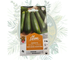 Courgette verte noire maraîchère - Semences de jardin de qualité
