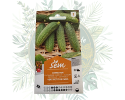 Cornichon vert petit de Paris - Variété de jardin