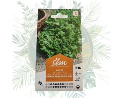 Laitue batavia reine des glaces - Jardinage facile