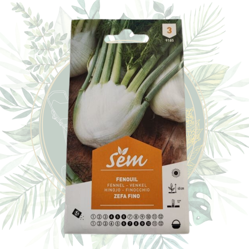 Fenouil Zefa Fino - Variété Savoureuse pour Votre Jardin