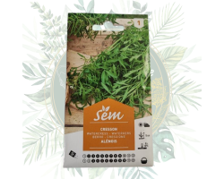 Cresson Alénois : Plante Annuelle Savoureuse pour le Jardin