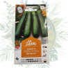 Courgette baccara F1 - Variété haut de gamme pour votre jardin