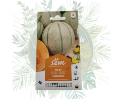 Cultivez le melon charentais : le fruit sucré du jardin