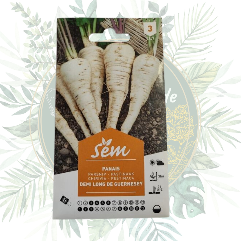 Panais demi long de Guernesey - Cultivez ce légume racine savoureux