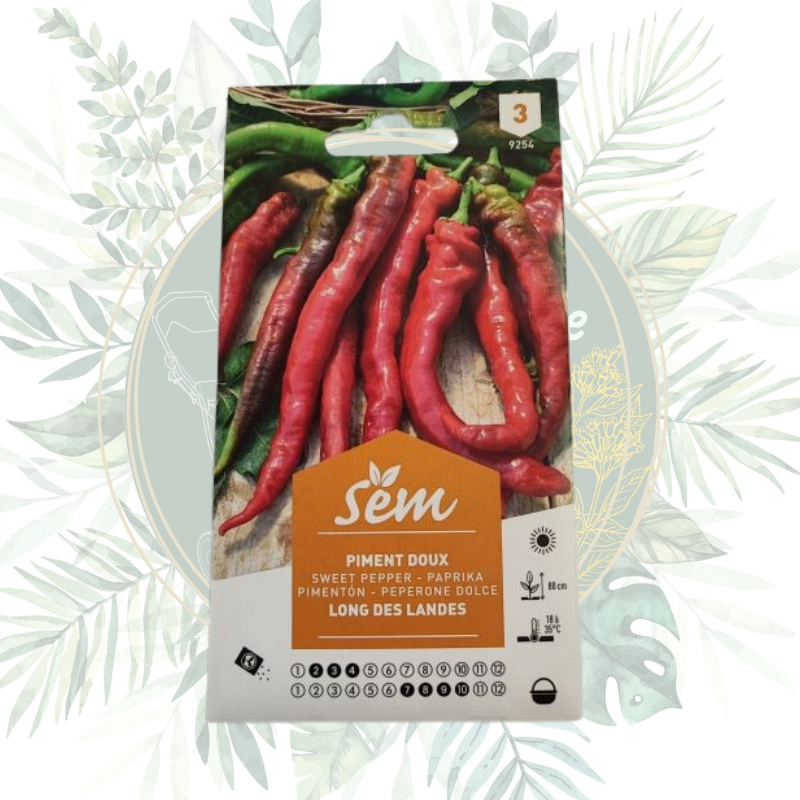 Piment doux long des Landes - Une variété savoureuse pour votre jardin