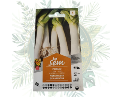 Poireau monstrueux de Carentan - Rusticité et qualité au jardin