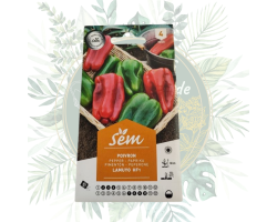 Poivron Lamuyo HF1 - Variété Hybride Résistante | Jardin