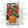 Poivron Lamuyo HF1 - Variété Hybride Résistante | Jardin