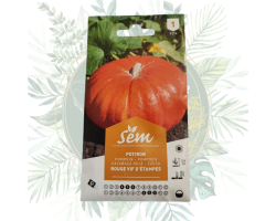 Potiron rouge vif d'Étampes - Plantez votre récolte