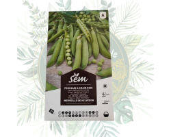 Pois nain à grain ride merveille de Kelvedon - Jardinage optimal