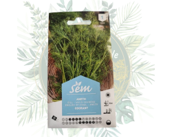 Aneth odorant - Plante aromatique pour votre jardin