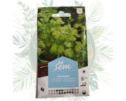 Coriandre - Plante aromatique pour votre jardin