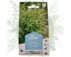 Semence Estragon - Plante aromatique haut de gamme pour votre jardin