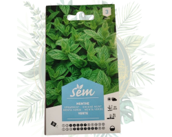 Menthe verte - Plante vivace pour votre jardin
