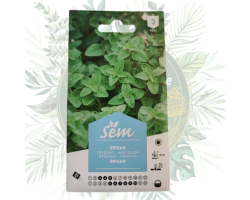 Origan : Cultivez cette Aromatique Essentielle dans Votre Jardin