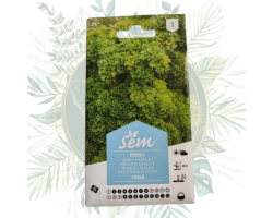 Persil frisé - Plante aromatique facile à cultiver