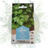 Persil simple - Herbe aromatique à cultiver dans votre jardin