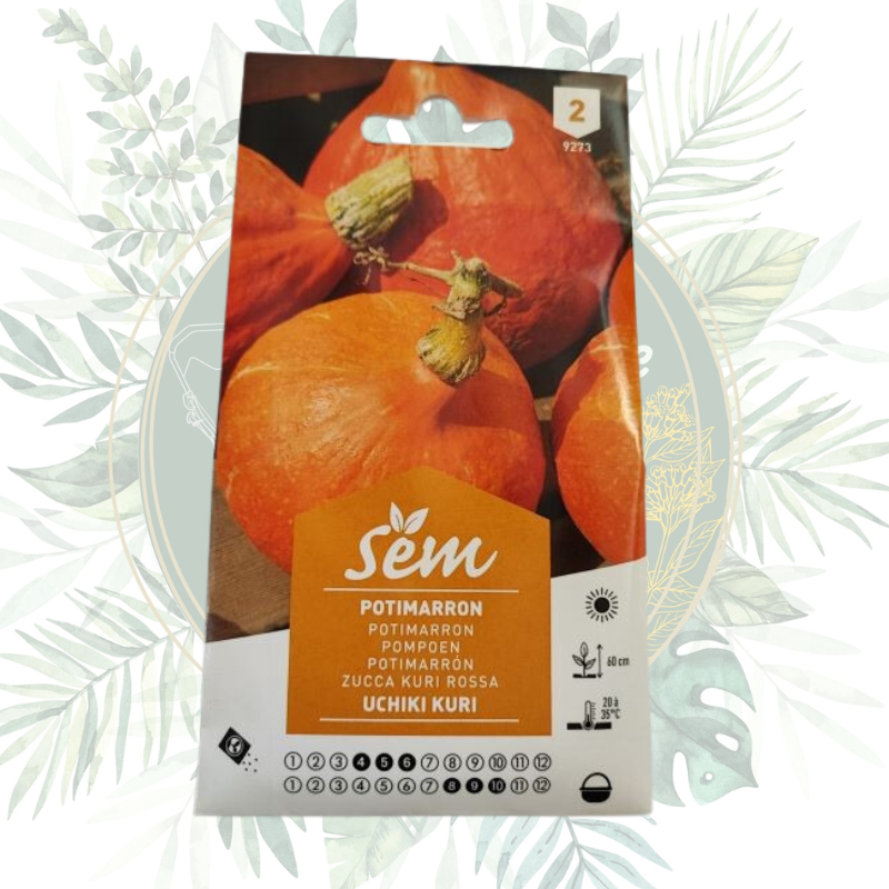 Potimarron : Cultivez ce légume d'automne facilement dans votre jardin