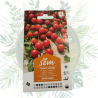 Tomates cerises sweet baby - Variété précoce et productive