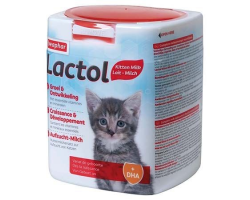 Lait maternisé pour chaton Lactol Beaphar - Nutrition optimale