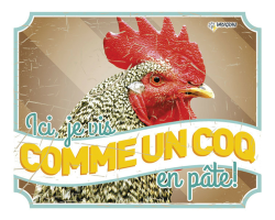 Plaque panneau photo poule Vintage 1 - Accessoire humoristique en métal