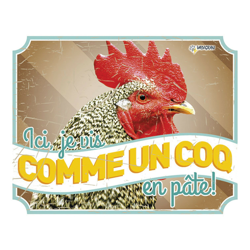 Plaque panneau photo poule Vintage 1 - Accessoire humoristique en métal