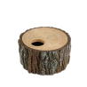 Abri pour reptiles arbre brun - Refuge naturel et décoratif