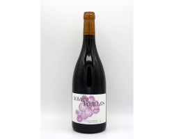 Domaine Rouillats Fruit 2020 - Vin Rouge Haut de Gamme