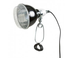 Lampe réflecteur à pince pour terrarium - Accessoire essentiel