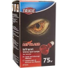 Lampe spot à chaleur infrarouge Trixie pour reptiles