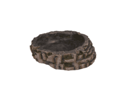 Bassin reptile - Accessoire naturel pour terrarium