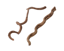 Liane naturelle pour terrarium - 75 cm | Terra Della