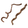 Liane naturelle pour terrarium - 75 cm | Terra Della