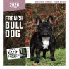 Calendrier chien 2026 - Bouledogue français - Martin