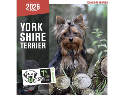 Calendrier chien 2026 - Yorkshire - Martin | Calendrier mural haut de gamme