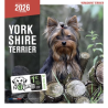 Calendrier chien 2026 - Yorkshire - Martin | Calendrier mural haut de gamme