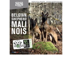 Calendrier mural 2026 - Berger belge Malinois - Martin