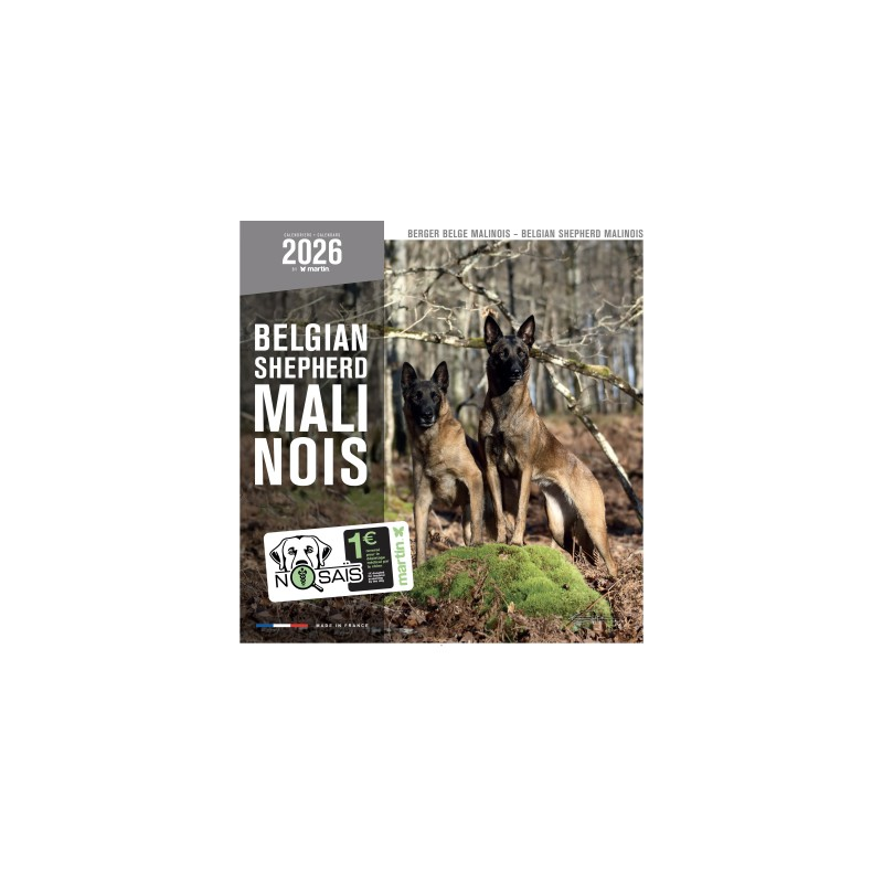 Calendrier mural 2026 - Berger belge Malinois - Martin