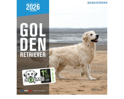 Calendrier Golden Retriever 2026 – Martin | Chiens