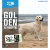 Calendrier Golden Retriever 2026 – Martin | Chiens